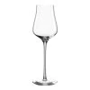 Leonardo Verres à liqueur Brunelli (lot de 6) - Transparent - 210 ml