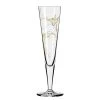 Ritzenhoff Flûte à champagne Goldnacht Colibris - Verre cristallin - Transparent / Platine - Contenance : 0,2 L -Promos Verres Magasin 1000276874 210625 15402700064 IMAGE P000000001000276874