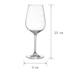 Butlers Verre à vin CONSTANCE - Verre cristallin - Transparent -Promos Verres Magasin 1000333327 220218 500 SKETCH DETAILS P000000001000333327 sketch
