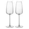 Butlers Flûtes à champagne FINE WINE (lot de 2) - Verre - Transparent -Promos Verres Magasin 1000333399 220218 010 IMAGE P000000001000333399