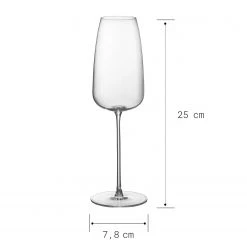 Butlers Flûtes à champagne FINE WINE (lot de 2) - Verre - Transparent -Promos Verres Magasin 1000333399 220218 500 SKETCH DETAILS P000000001000333399 sketch
